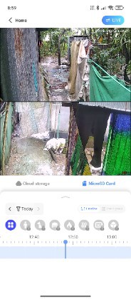 ওয়ারলেস ডাবল  ক্যামেরা